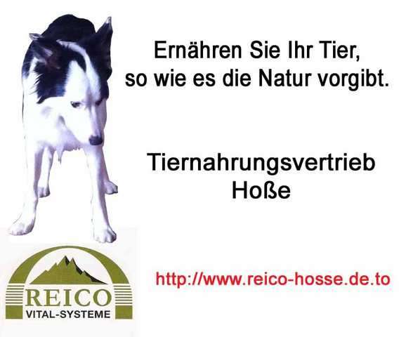 Senken Sie Ihre Futterkosten!